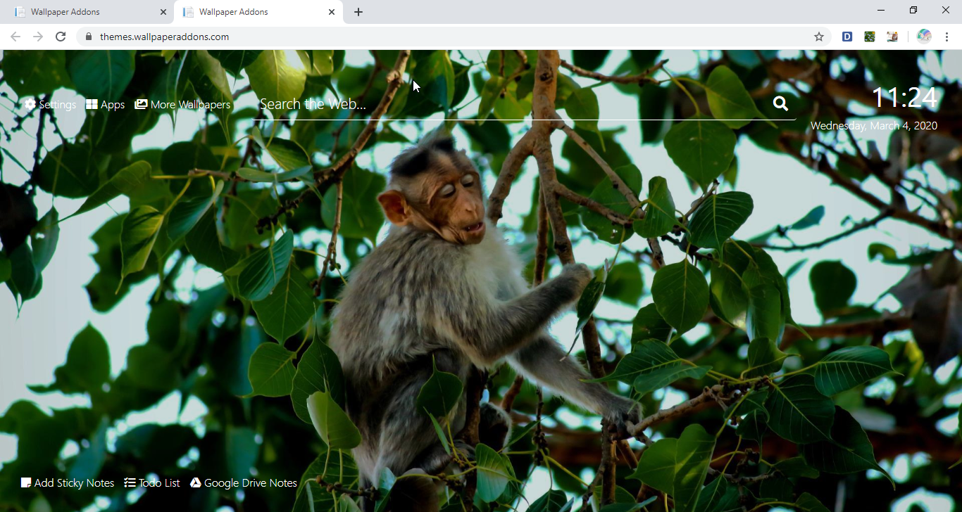 Baby Monkeys Wallpaper