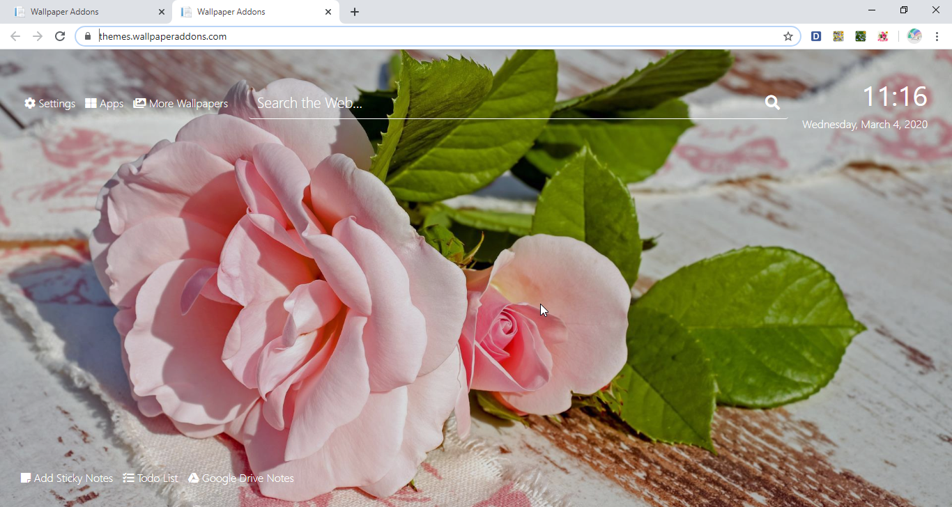 Pink Roses Wallpaper