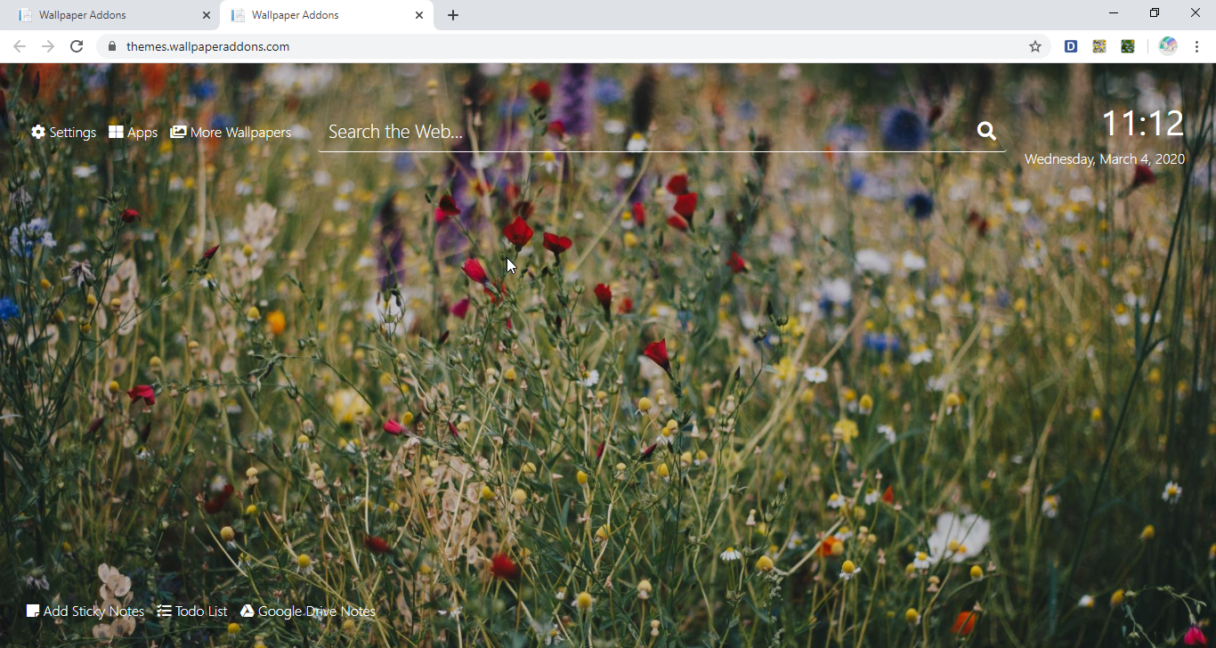 Wild Flowers Wallpaper